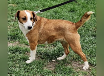 Zauberhafte Lusti sucht ihre Menschen