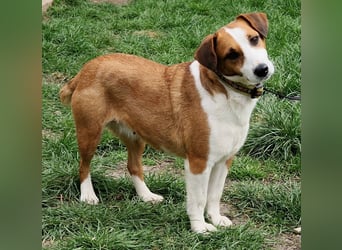 Zauberhafte Lusti sucht ihre Menschen