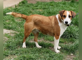 Zauberhafte Lusti sucht ihre Menschen