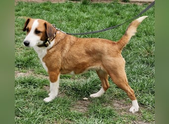 Zauberhafte Lusti sucht ihre Menschen