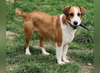 Zauberhafte Lusti sucht ihre Menschen