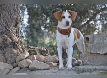 Zeigst du Lizzy wie sich Liebe, Vertrauen und ein echtes Zuhause anfühlen?