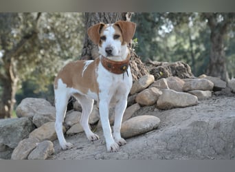 Zeigst du Lizzy wie sich Liebe, Vertrauen und ein echtes Zuhause anfühlen?