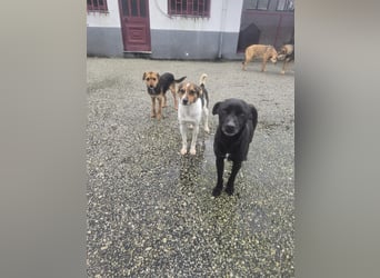 Wer zeigt Vinci wie schön ein eigenes Zuhause sein kann?