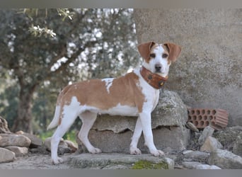 Zeigst du Lizzy wie sich Liebe, Vertrauen und ein echtes Zuhause anfühlen?