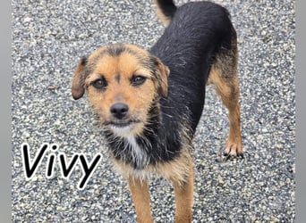 Wer schenkt Vivy die Chance auf ein Leben voller Geborgenheit und gemeinsamer Momente?