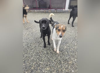 Wer zeigt Vinci wie schön ein eigenes Zuhause sein kann?