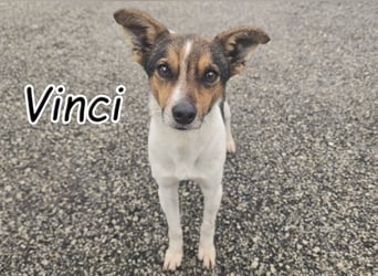 Wer zeigt Vinci wie schön ein eigenes Zuhause sein kann?