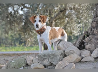 Zeigst du Lizzy wie sich Liebe, Vertrauen und ein echtes Zuhause anfühlen?