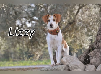 Zeigst du Lizzy wie sich Liebe, Vertrauen und ein echtes Zuhause anfühlen?