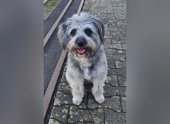 Darf Olaf gemeinsam mit dir wachsen?