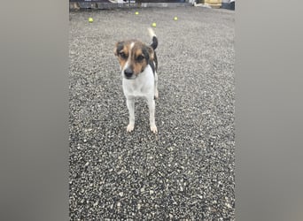 Wer zeigt Vinci wie schön ein eigenes Zuhause sein kann?