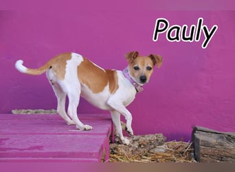 Zeigst du Pauly, wie sich Liebe und Geborgenheit anfühlen?