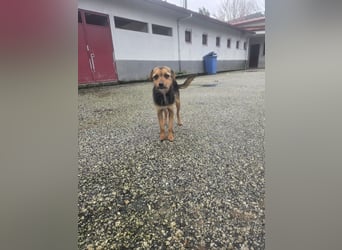 Wer schenkt Vivy die Chance auf ein Leben voller Geborgenheit und gemeinsamer Momente?