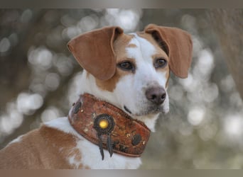 Zeigst du Lizzy wie sich Liebe, Vertrauen und ein echtes Zuhause anfühlen?