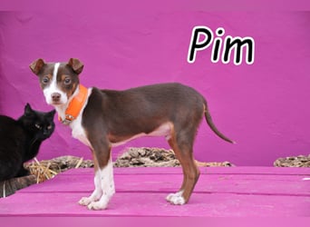 Erklärst du Pim das Leben?