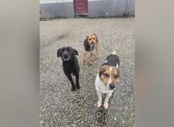 Wer zeigt Vinci wie schön ein eigenes Zuhause sein kann?