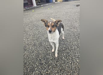 Wer zeigt Vinci wie schön ein eigenes Zuhause sein kann?