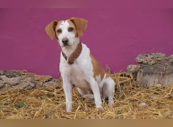 Zeigst du Lizzy wie sich Liebe, Vertrauen und ein echtes Zuhause anfühlen?