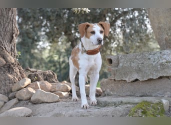 Zeigst du Lizzy wie sich Liebe, Vertrauen und ein echtes Zuhause anfühlen?