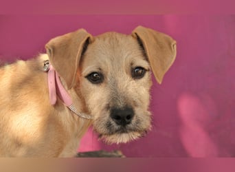 Zeigst du Rafael, wie schön ein Zuhause sein kann?