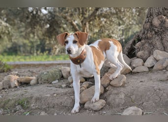 Zeigst du Lizzy wie sich Liebe, Vertrauen und ein echtes Zuhause anfühlen?