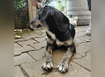 Jette ein kleiner Goldschatz