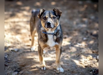 Lieber Petruscha sucht das große Glück