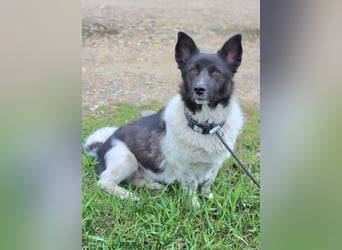 Lieber Willi sucht Familienanschluss