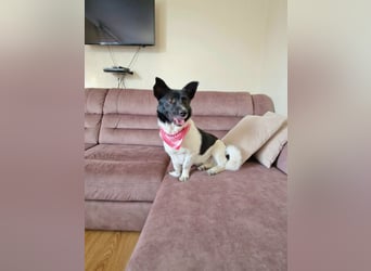 Lieber Willi sucht Familienanschluss