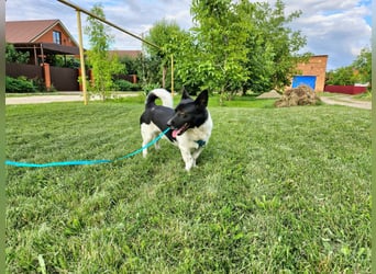 Lieber Willi sucht Familienanschluss