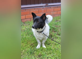 Lieber Willi sucht Familienanschluss