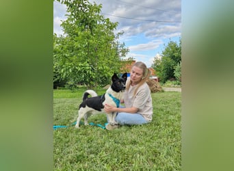 Lieber Willi sucht Familienanschluss