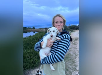 Imani: kleine Hündin sucht großes Glück