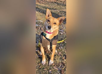 Maila sucht ein neues Zuhause