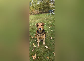 Katja sucht ein neues Zuhause