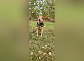 Katja sucht ein neues Zuhause