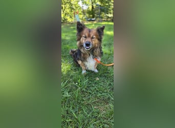 Lenny sucht ein neues Zuhause