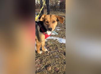 Kassandra sucht ein neues Zuhause