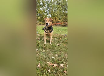 Katja sucht ein neues Zuhause