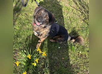 Elio sucht ein neues Zuhause