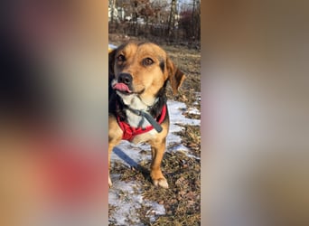 Kassandra sucht ein neues Zuhause