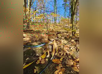 Maila und Alanna suchen ein neues Zuhause