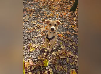 Maila und Alanna suchen ein neues Zuhause