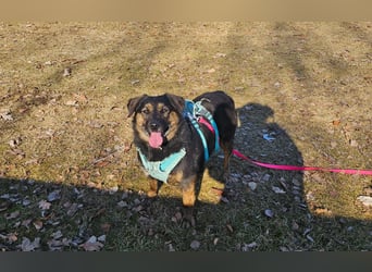 Phili sucht ein neues Zuhause