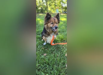 Lenny sucht ein neues Zuhause