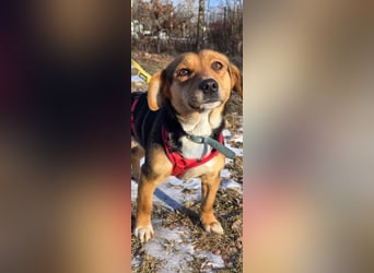 Kassandra sucht ein neues Zuhause