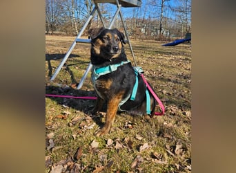 Phili sucht ein neues Zuhause