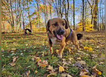 Socke sucht ein neues Zuhause