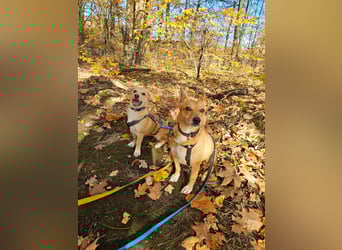 Maila und Alanna suchen ein neues Zuhause